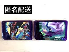 ポケモンフレンダ スーパートレジャー レックウザ ジガルデ 色違い
