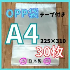 Item thumbnail for item d132c303-515f-435e-bb24-8907271077ec