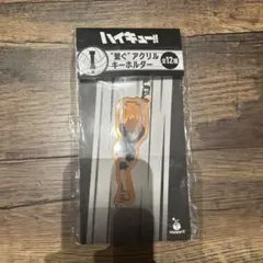 ハイキュー!! アクリルキーホルダー