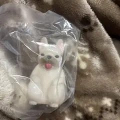 光るまてぼうけ犬　フレンチブルドッグ