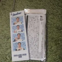 東京ヤクルトスワローズ 4カットフォトキーホルダー　庄司宏太