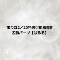 【まりな2／20発送可能様専用】ぱるる(青色)