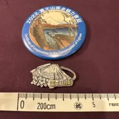 Item thumbnail for item cfd35521-478f-4c82-b2bb-f1b335fc2645