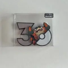 ポケモン 30周年記念 ルガルガン マグネット 30th 中国限定 - メルカリ