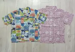 Item thumbnail for item 941d92b8-54e9-4e26-87cf-421b9c3e890d