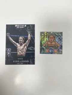 2025年最新】アベマでrizinの人気アイテム - メルカリ