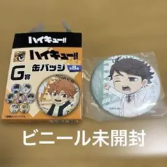 ハイキュー!! 及川徹 缶バッジ 4点セット - メルカリ