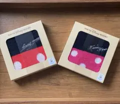 TOKYO DISNEY RESORT ミッキー・ミニー タオルセット