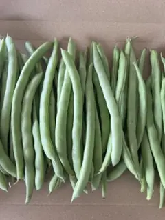 いんげん豆 800グラム インゲン豆 野菜のサムネイル