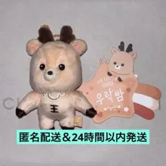 BABY RIIZE KEYRING ソンチャン ウラッバム 8cm BABY RIIZE KEYRING ソンチャン ウラッバム 8cm - メルカリ