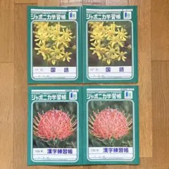 ジャポニカ学習帳 国語 漢字練習帳 4冊セットのサムネイル