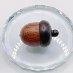 ピルケース ケース どんぐり どんぐり型 木製 小さい かわいい リアル