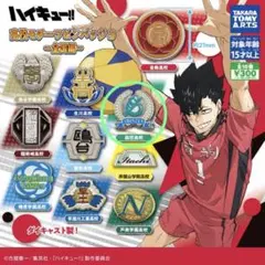 ハイキュー‼︎ 高校モチーフピンバッジ3〜全国編〜
