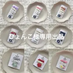ぴょんこ様専用出品
