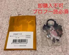 鬼滅の刃 繋がるアクリルスタンド 第一期 竈門禰豆子