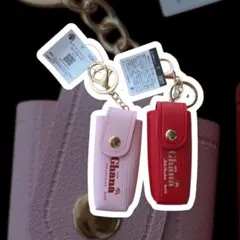 LOTTE Ghana リップケース 2種セット ロッテガーナ