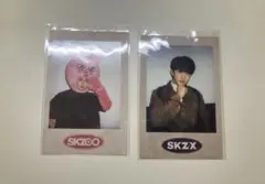 Stray kids チャンビン skzx skzoo トレカ