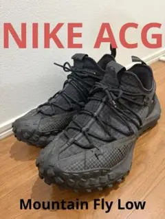 NIKE ACG Mountain Fly Low 28.5cm 【レアカラー】のサムネイル