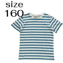 ストライプ Tシャツ サイズ160 半袖　ボーター　春夏 M 青　白　カットソーのサムネイル