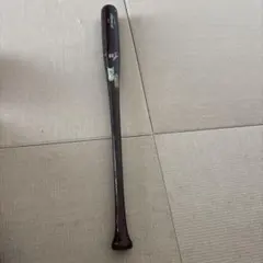 Item thumbnail for item 19b05a27-dfac-45ac-b5e8-20d0f044e95c