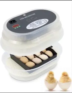 Item thumbnail for item 1187d165-8a77-4de8-a0be-527164fae244