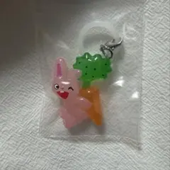 ノンタンめじるしアクセサリー うさぎさん