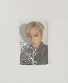 treasure アサヒ ASAHI トレカ 花 reboot