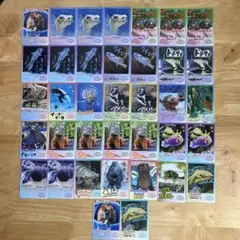鳥羽水族館 トレカ まとめ売り - メルカリ