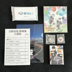 ハイキュー ファンパーク 入場者特典 日向 影山 黒尾 孤爪 木兎 赤葦 及川