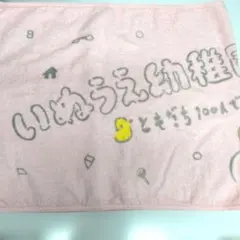 井上苑子　いのうえ幼稚園入園式 ライブタオル