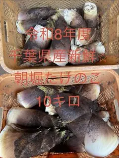 2026年最新】竹の子 10kgの人気アイテム - メルカリ