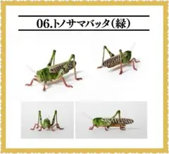 2026年最新】いきもの大図鑑の人気アイテム - メルカリ
