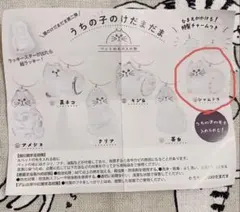 うちの子のけだまだま　第二弾　シャムトラ　新品未使用未開封