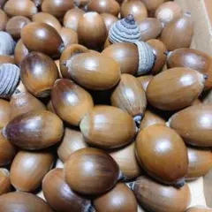 Item thumbnail for item 644577ae-16ae-4f1a-b12c-39621351fa36