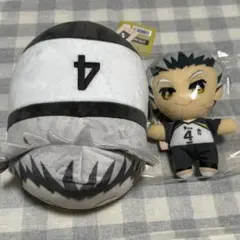 ハイキュー　もちもちマスコット　MSサイズ　ともぬい　木兎光太郎　木兎