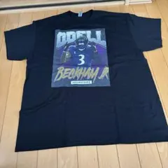 Item thumbnail for item a084ec83-0c2c-4328-b54f-e72169be77cd