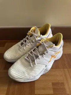 ANPRE ARS low アンプレアルスロー