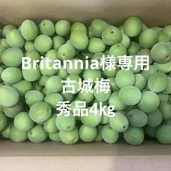 和歌山県産 完熟南高梅‼️L〜2L混合‼️4kg みかんキング 家庭用 