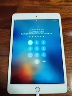 h*@様 ジャンク◼️iPad mini 4◼️128GB◼️セルラー版◼️56 Apple iPad mini 4 Wi-Fiモデル 128GB オークション比較 - 価格.com