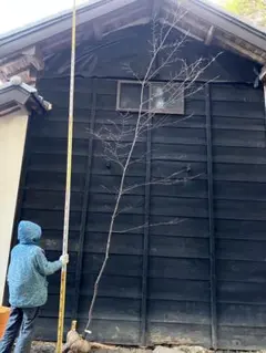 ひもQ様 リクエスト 4点 まとめ商品