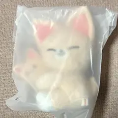 straykids スキズ　skzoo dominATE アイエン フォクシニー