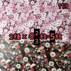 Item thumbnail for item 16d991c0-8d57-486d-a121-44ea8151e795