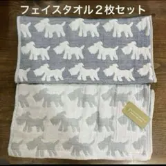 Item thumbnail for item 4d293cad-61ea-456c-b060-217094de7532