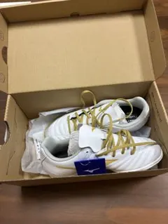 2026年最新】モレリアネオ2 ゴールドの人気アイテム - メルカリ