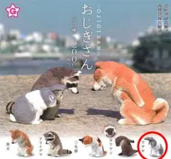 おじぎさん ウサギ