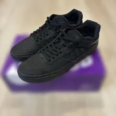 NIKE SB ISHODのサムネイル