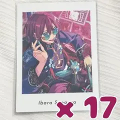 2026年最新】ぱしゃっつ 茨の人気アイテム - メルカリ