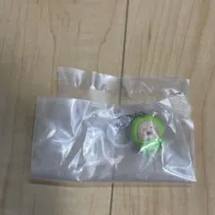 こびとづかん　めじるしマスコット　スモモノウチ