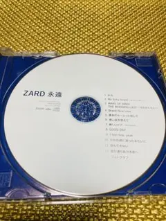 2025年最新】坂井泉水 zardの人気アイテム - メルカリ
