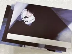 ウジ フォトブック切り抜き